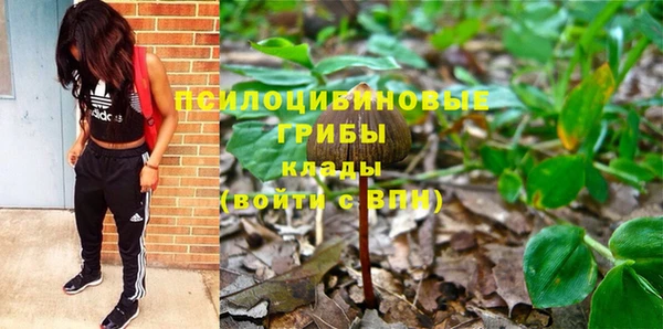 ALPHA PVP Алзамай