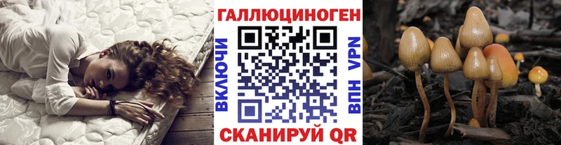 купить наркоту ссылка на мегу ONION Псилоцибиновые грибы GOLDEN TEACHER Алушта